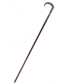 Canne fusil